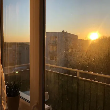 Iihf 2019 New Apartment *